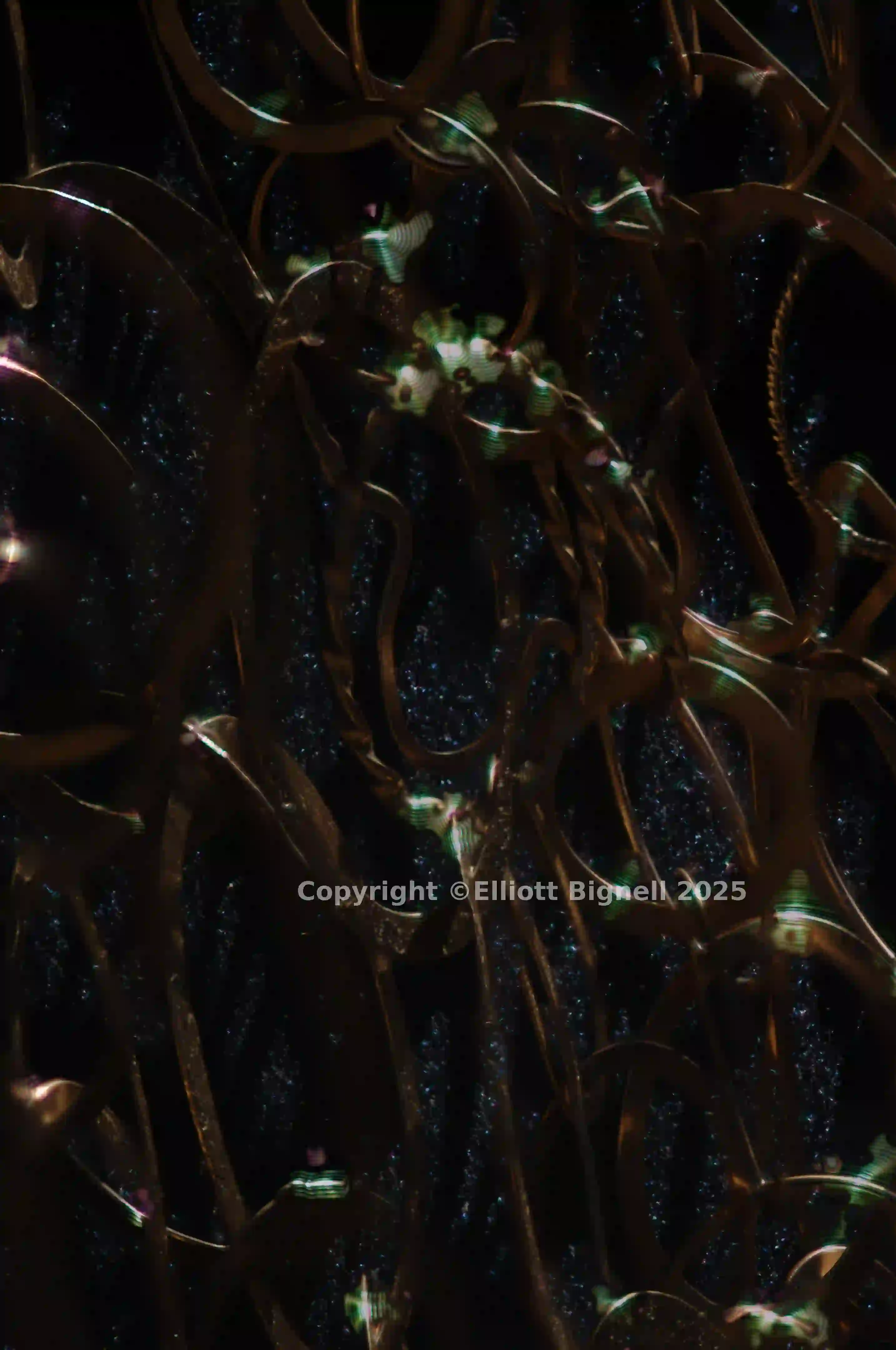 2013-11-23-11.12.07 ZS DMap.jpg